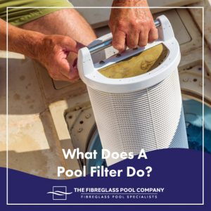 what-do-a-pool-filter-do-featuredimage